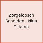 Zorgeloosch Scheiden - Nina Tillema